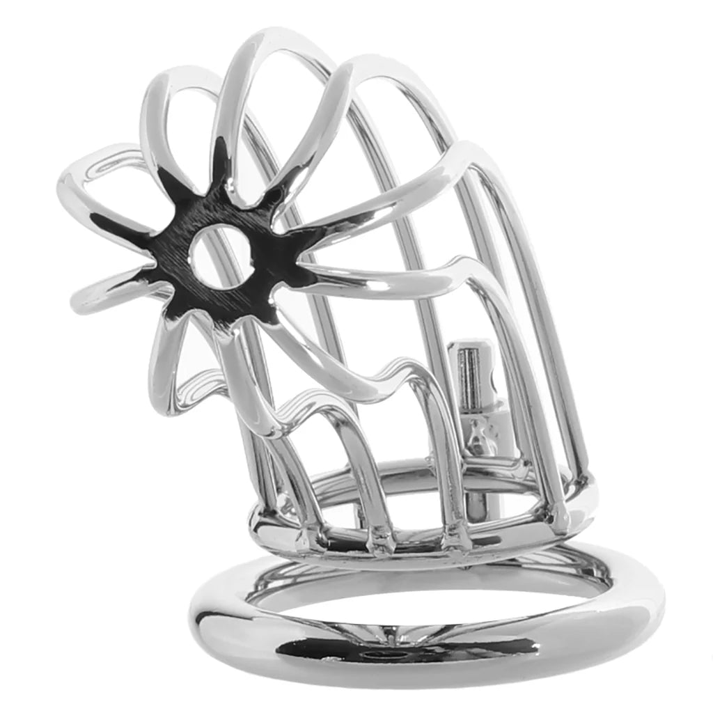 Blue Line Prisoner Cock Cage โ Stainless Steel Lockdown ๐